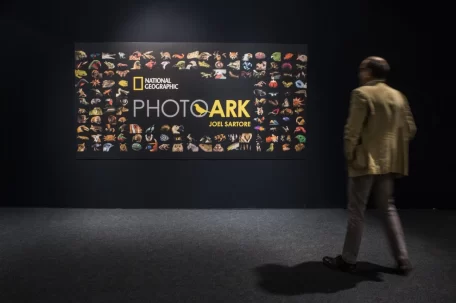 The Photo Ark In mostra le foto di Joel Sartore