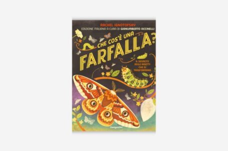Che cos’è una farfalla? A cura di <br> Gianumberto Accinelli