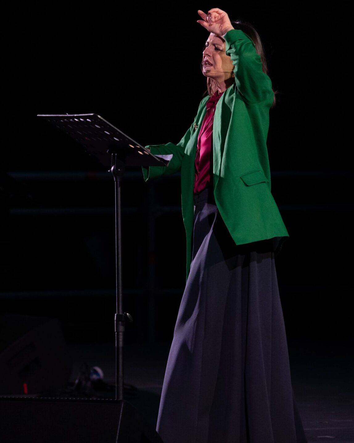 Viaggio A Stranalandia (1)