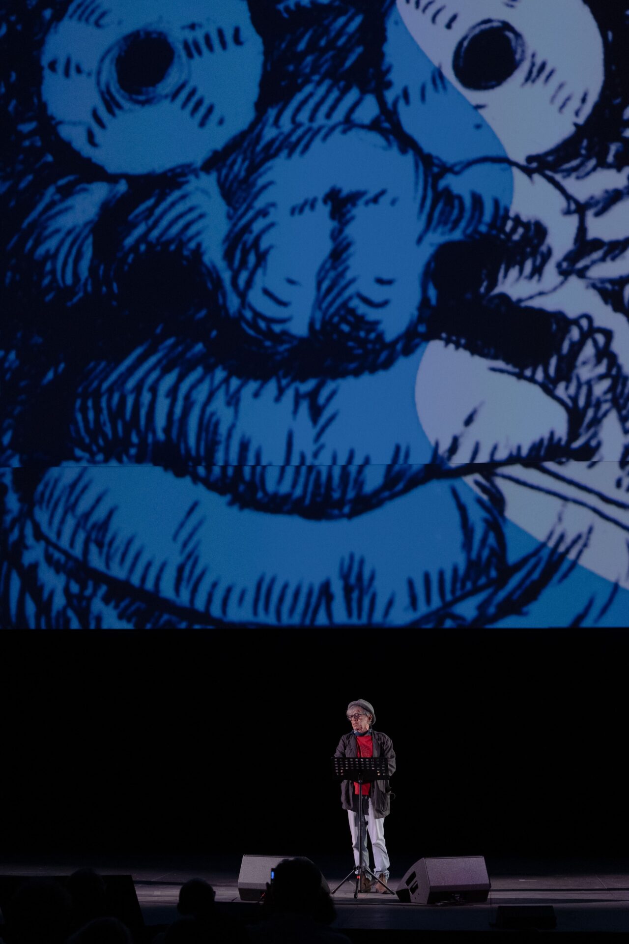 Viaggio A Stranalandia (26)