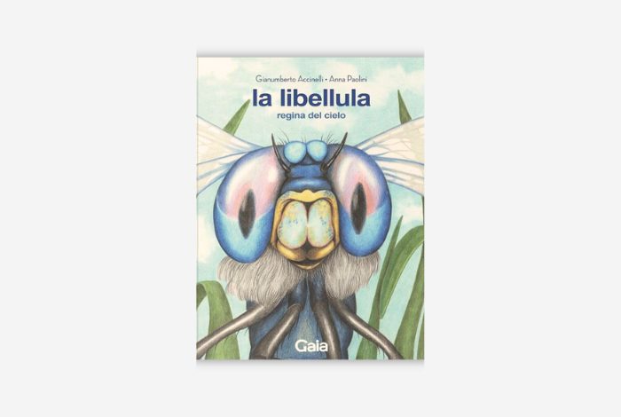 La Libellula Accinelli Cover